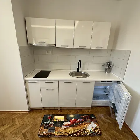 Iris Oasis *